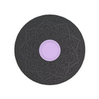 Balance Trainer Board