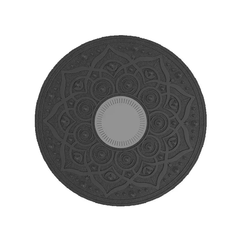 Balance Trainer Board